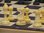 Set completo da torneo con Scacchiera avvolgibile similegno Wengé + Scacchi in plastica beige +Borsa
