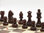 Set Completo 42cm - scacchiera QueenBoard "Brown" e Scacchi piombati in legno + Borsa